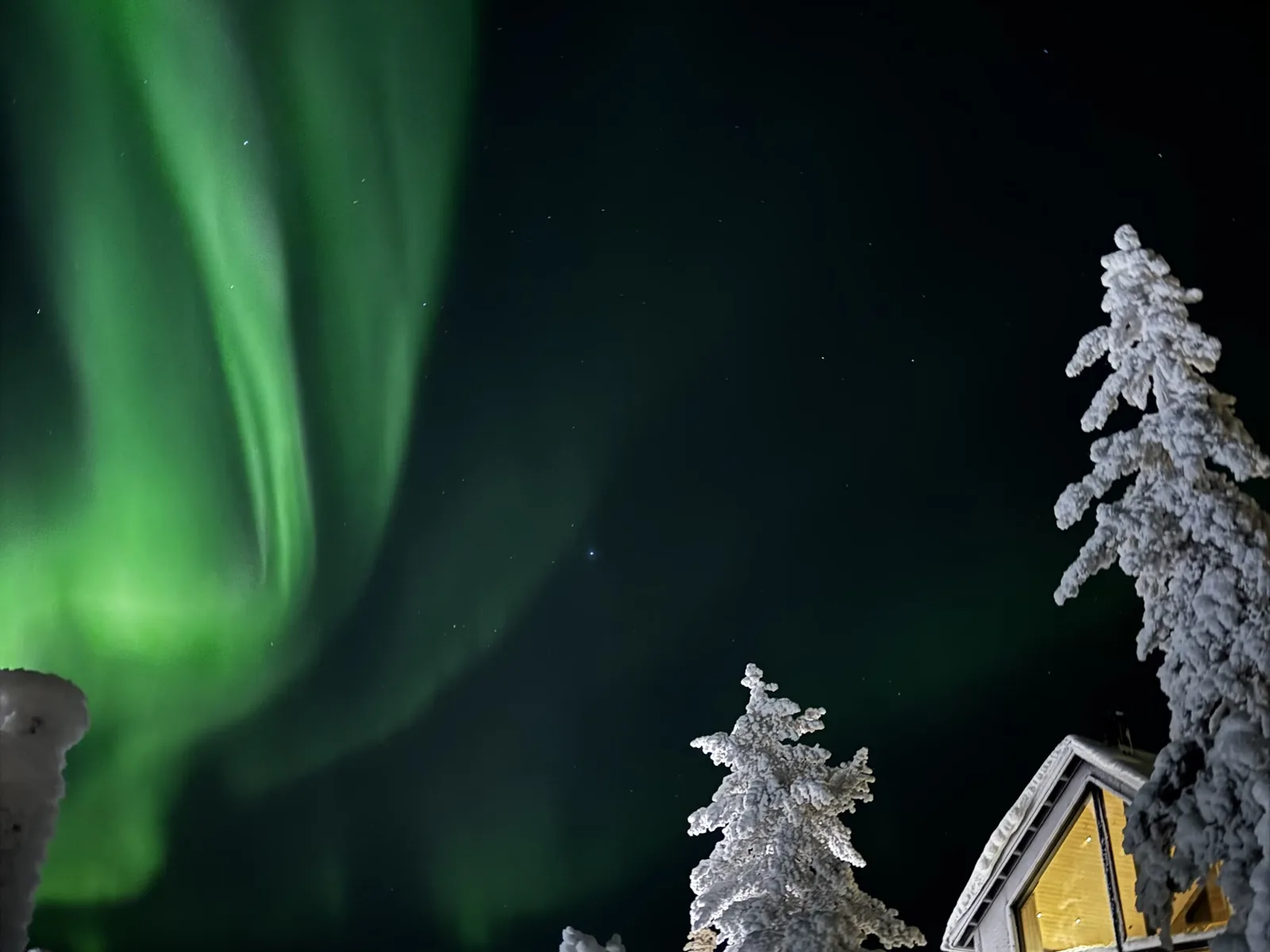 Northern lights over snow-covered trees and a warmly lit Aura chalet