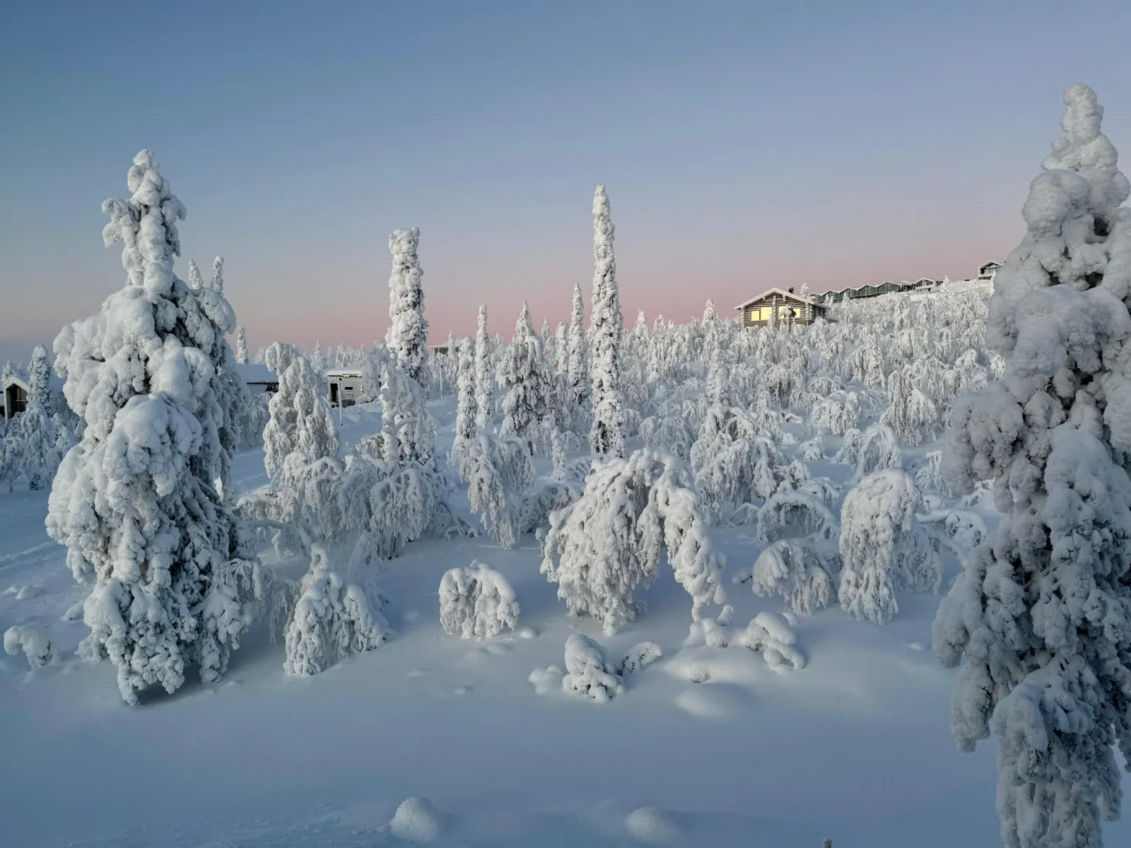 View from the upstairs bedrooms over snow covered trees at pink twilight