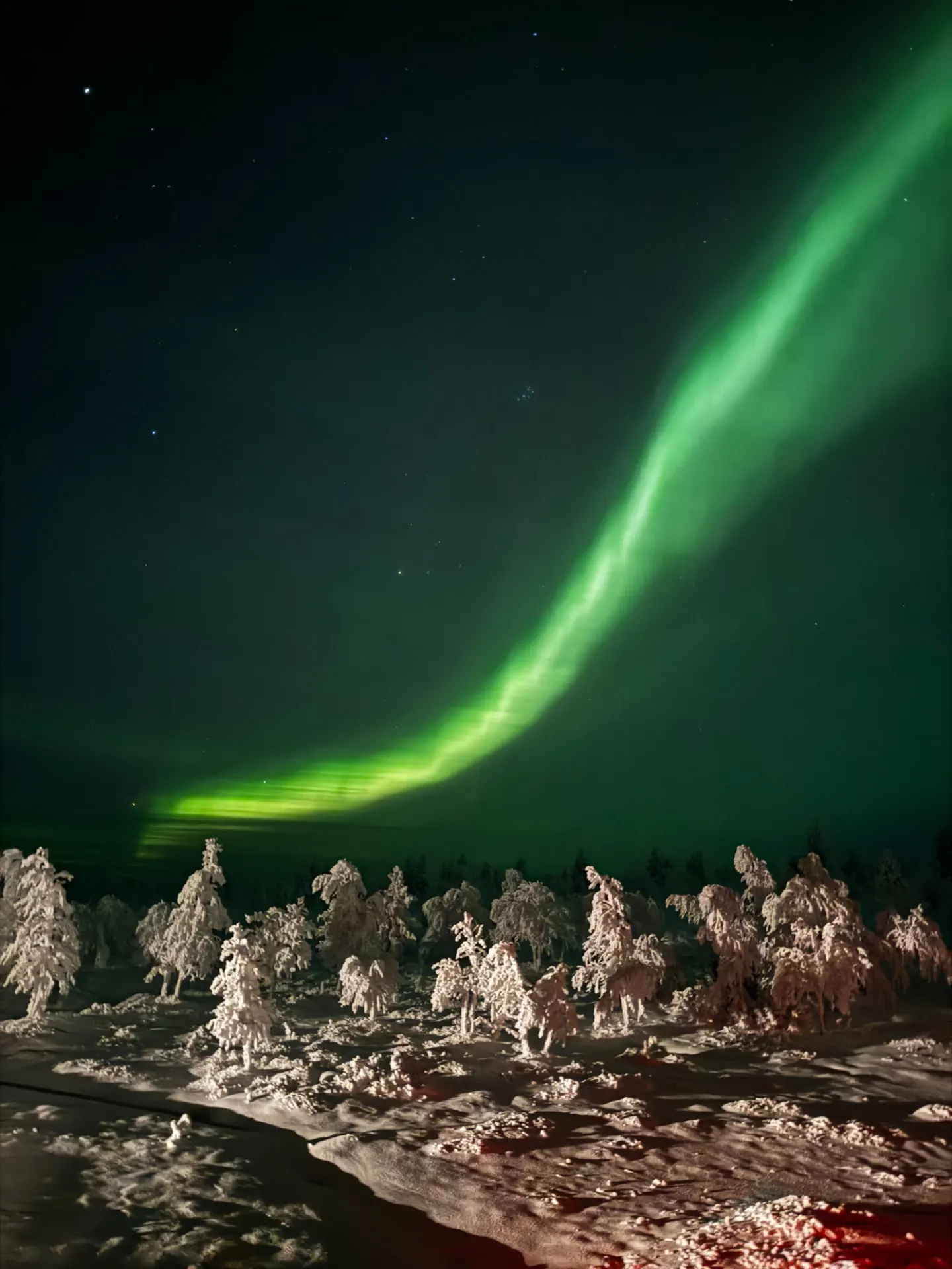 Bright green northern lights over a snow covered forest at night