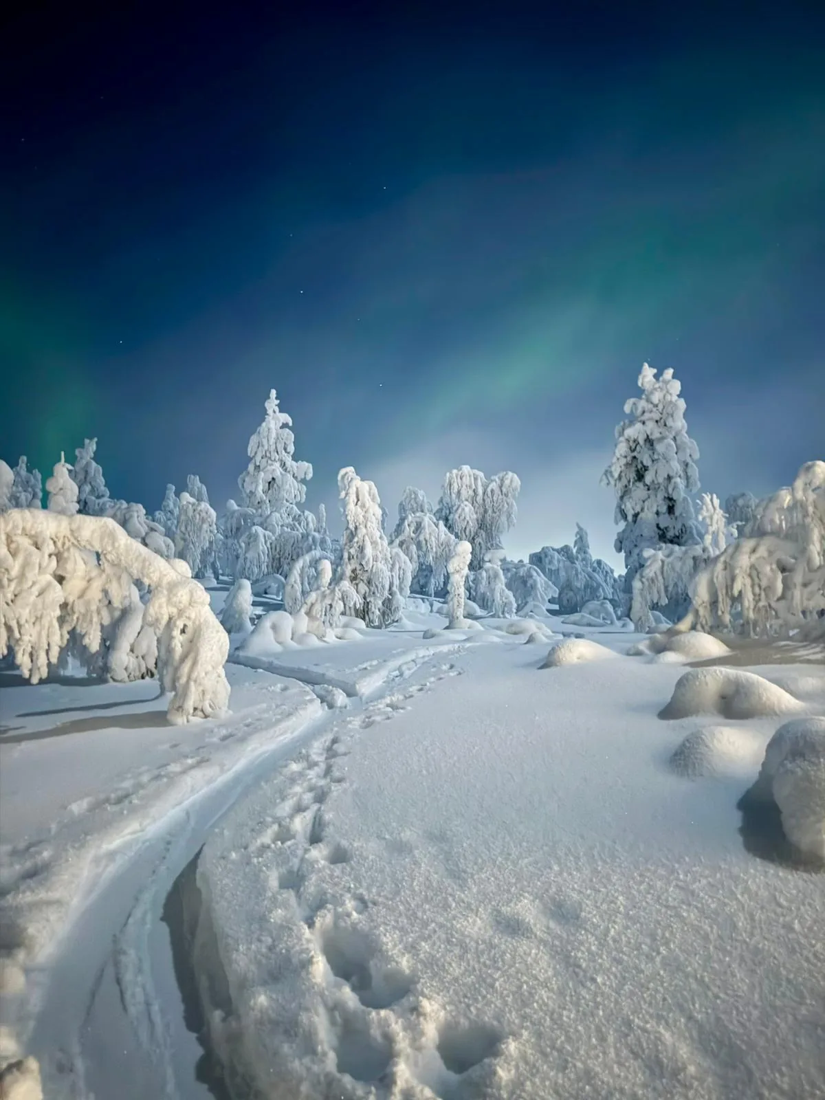Aerial view of the Aura Arctic Chalets private estate surrounded by Lapland wilderness